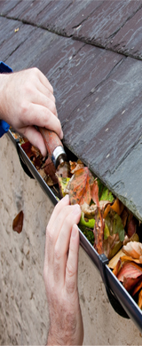gutter cleaning fascia soffit bargeboard cleaning Environmental Hygiene Waste Disposal Skips Rubbish Removal - Petersfield Whitehill Bordon Harting Midhurst Rowlands Castle Horndean Waterlooville Alton